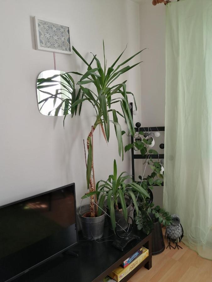 Apartamento Emma Nová Lesná Exterior foto